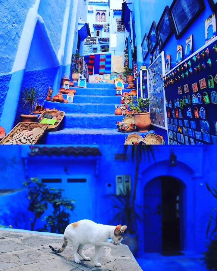 Appartamento Casa Dreams Chaouen Chefchaouen Esterno foto